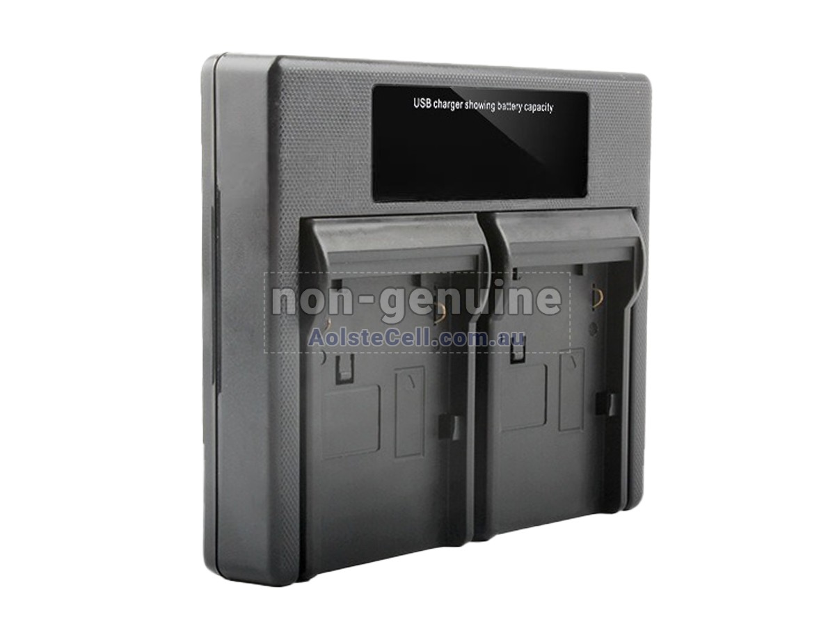 Replacement Canon POWERSHOT SX50HS battery