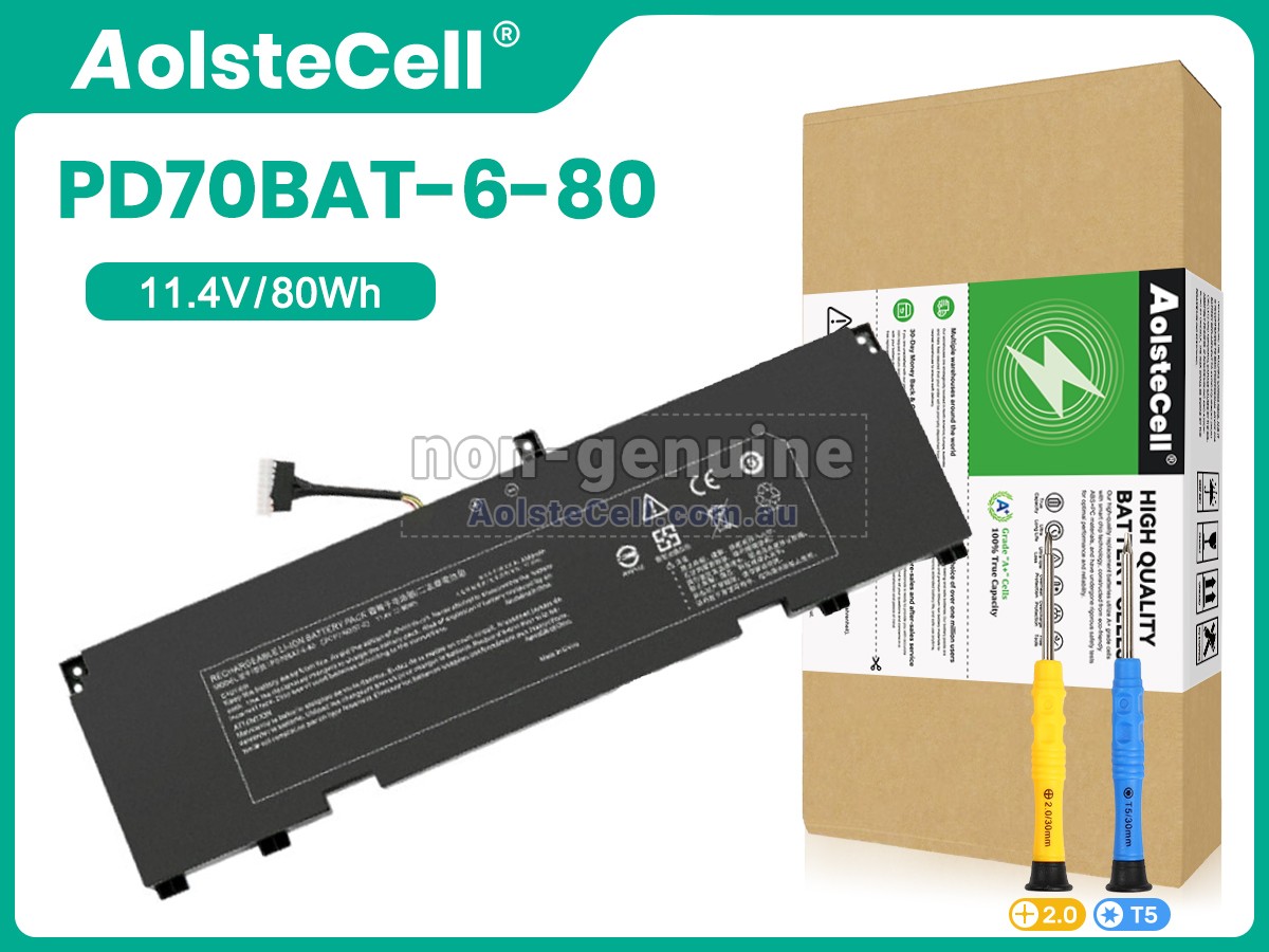 Replacement Clevo PD70BAT-6-80 battery
