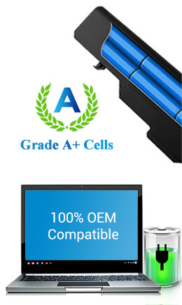 Category A+ cells