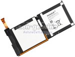 Battery For Microsoft P21GK3