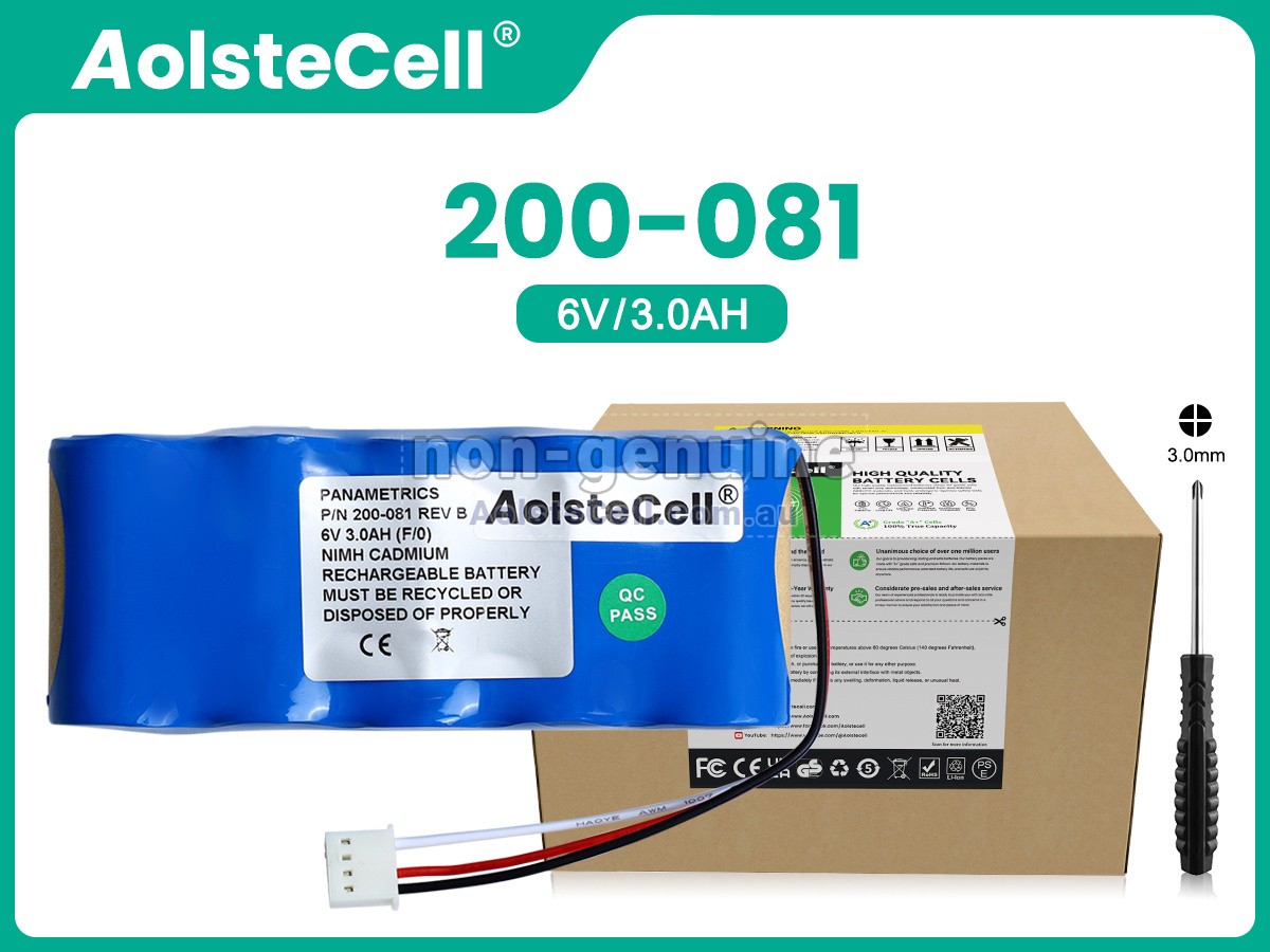Replacement Panametrics 200-081 battery