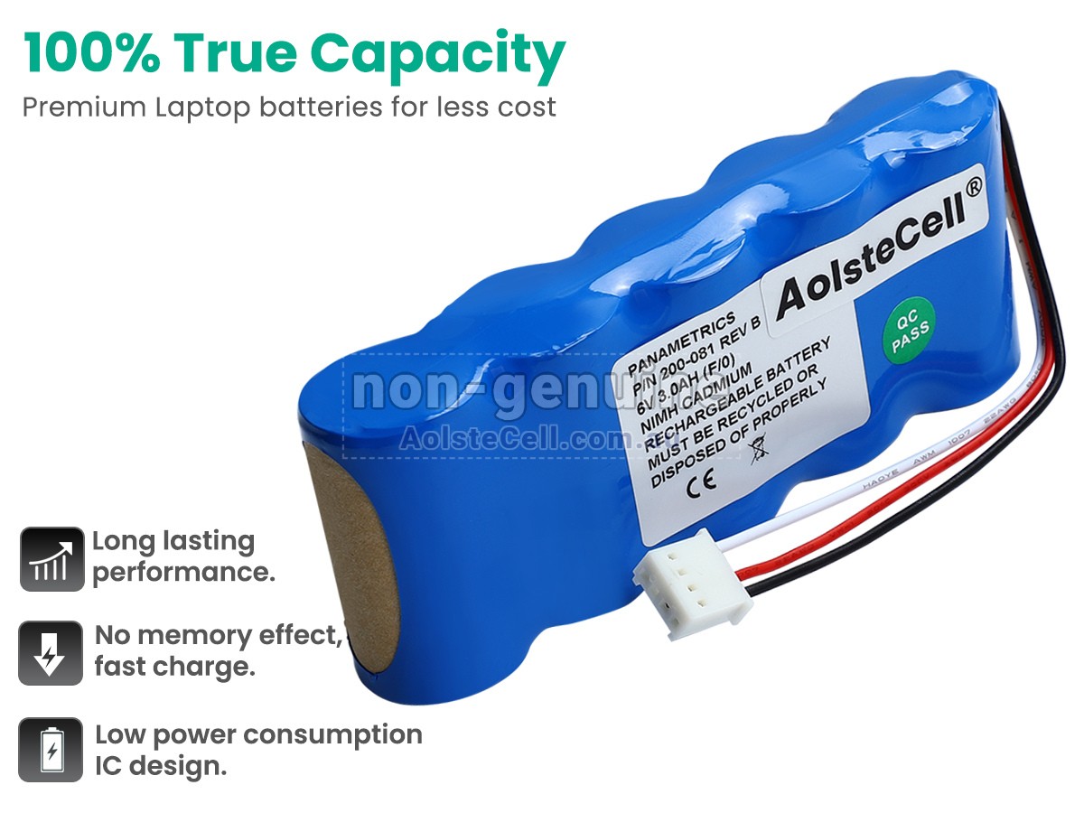 Replacement Panametrics 200-081 battery