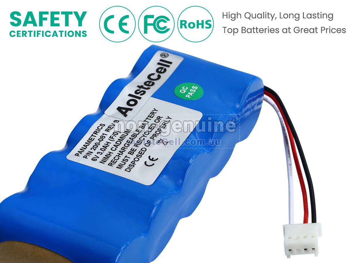 Replacement Panametrics 200-081 battery