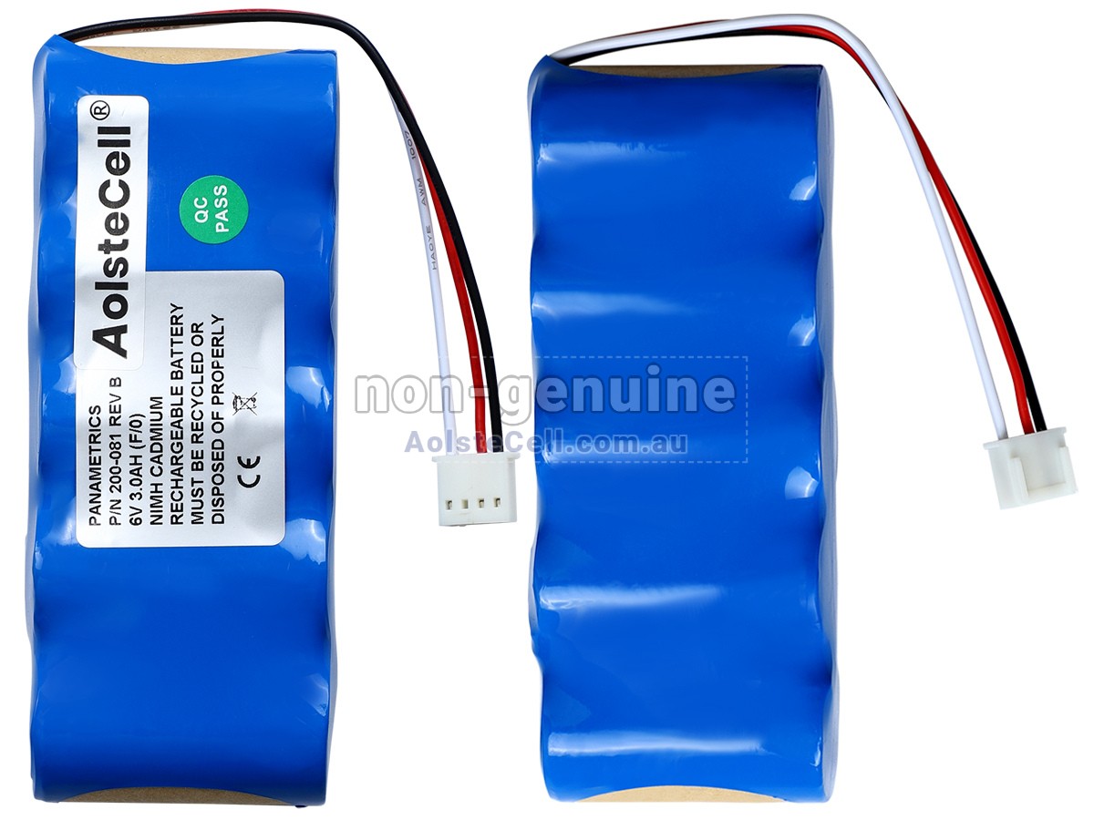 Replacement Panametrics 200-081 battery