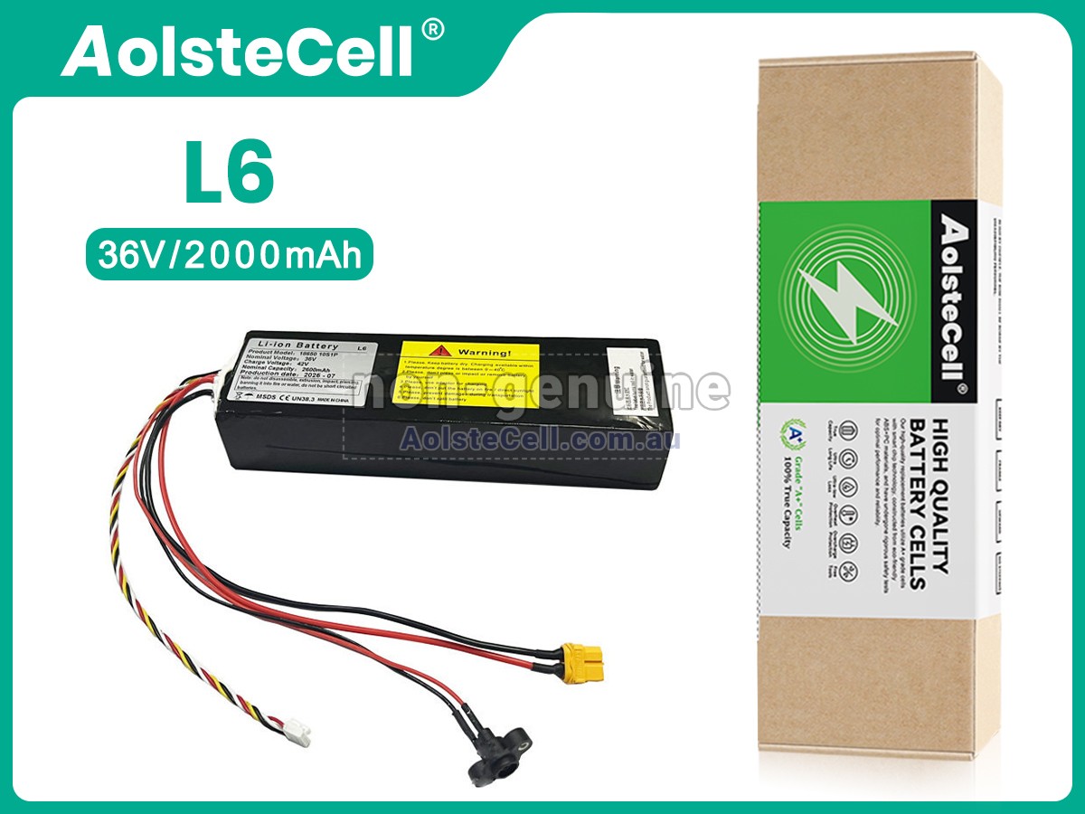 Replacement Segway Ninebot L6 battery