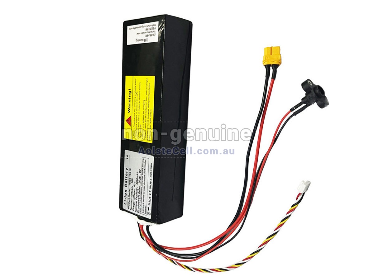 Replacement Segway Ninebot L6 battery