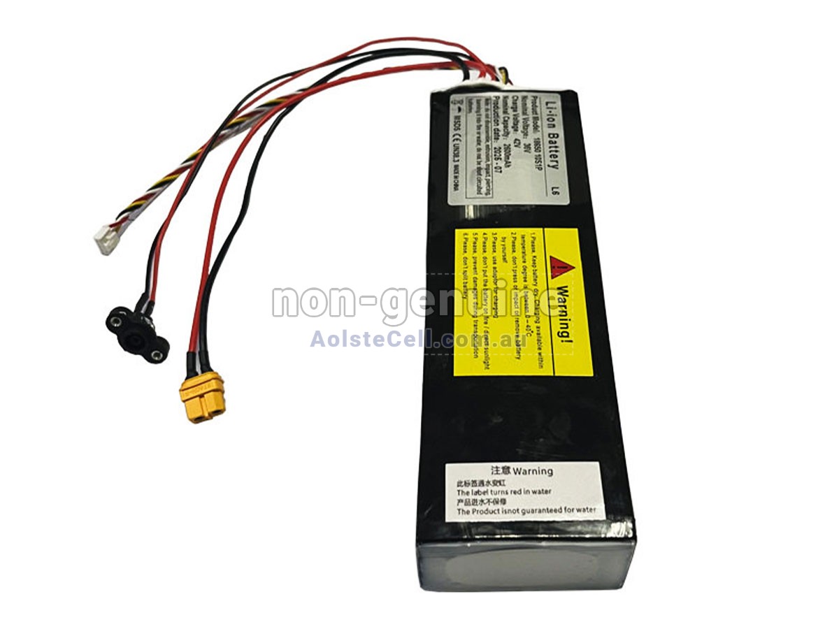 Replacement Segway Ninebot L6 battery