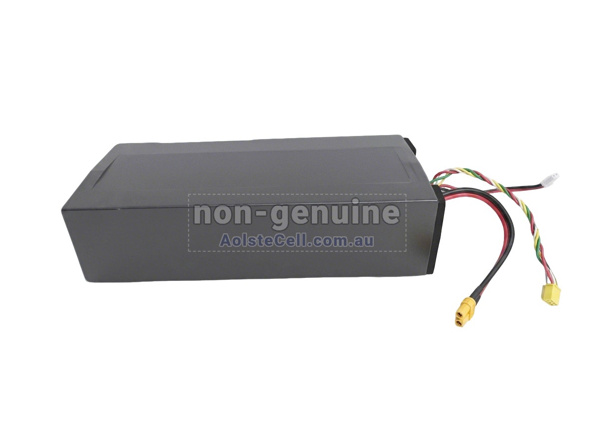 Replacement Segway Ninebot H1319-H battery