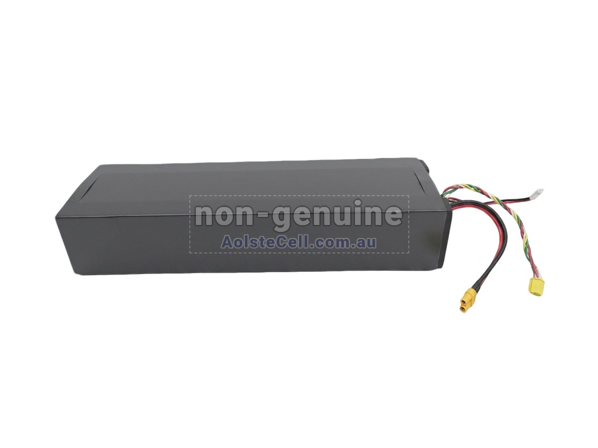 Replacement Segway Ninebot H1319-H battery