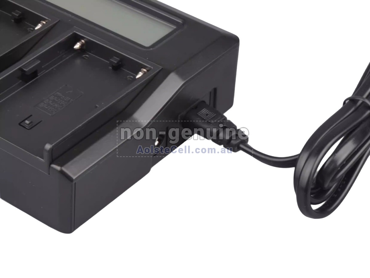 Replacement Sony BP-U90 battery