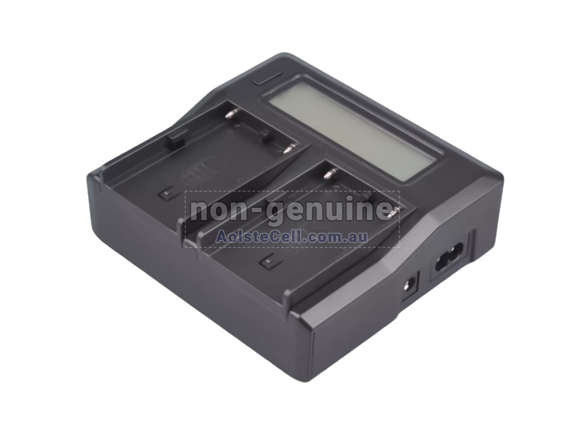 Replacement Sony BP-U90 battery