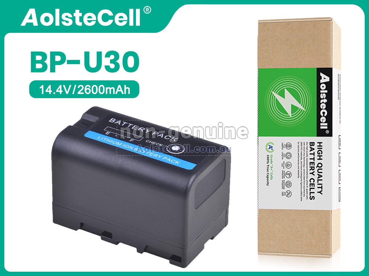 Replacement Sony BP-U35 battery