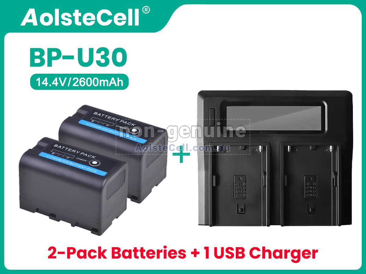 Replacement Sony BP-U35 battery