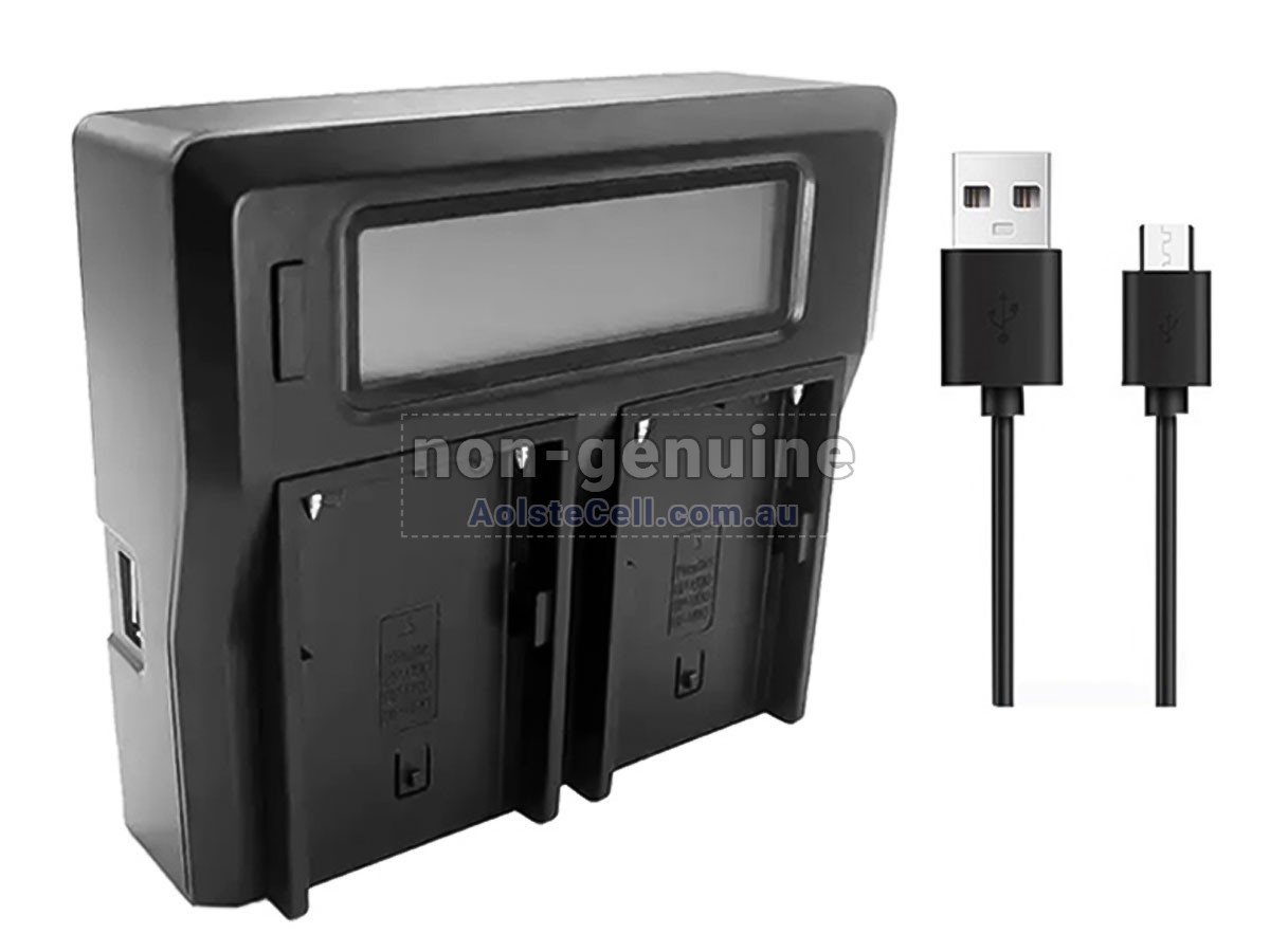 Replacement Sony BP-U35 battery