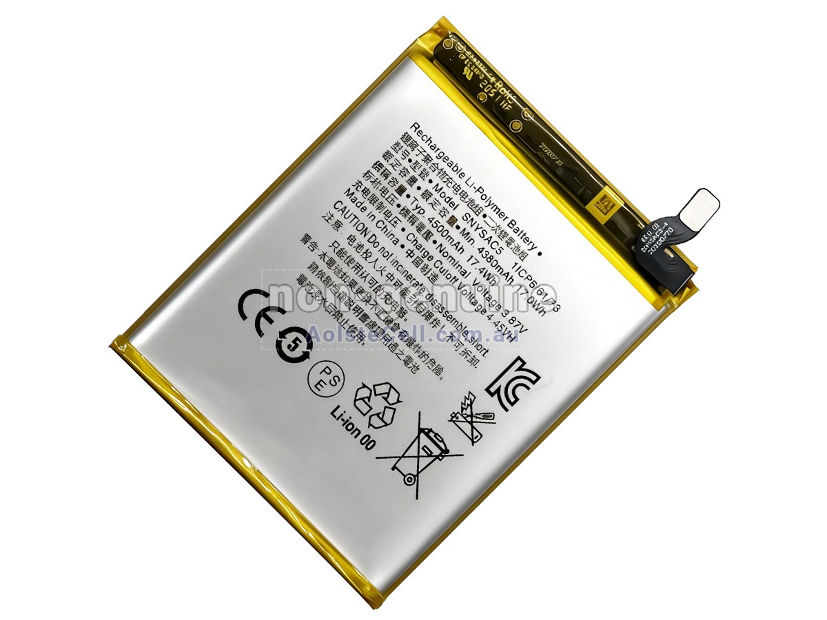Replacement Sony SNYSAC5 battery